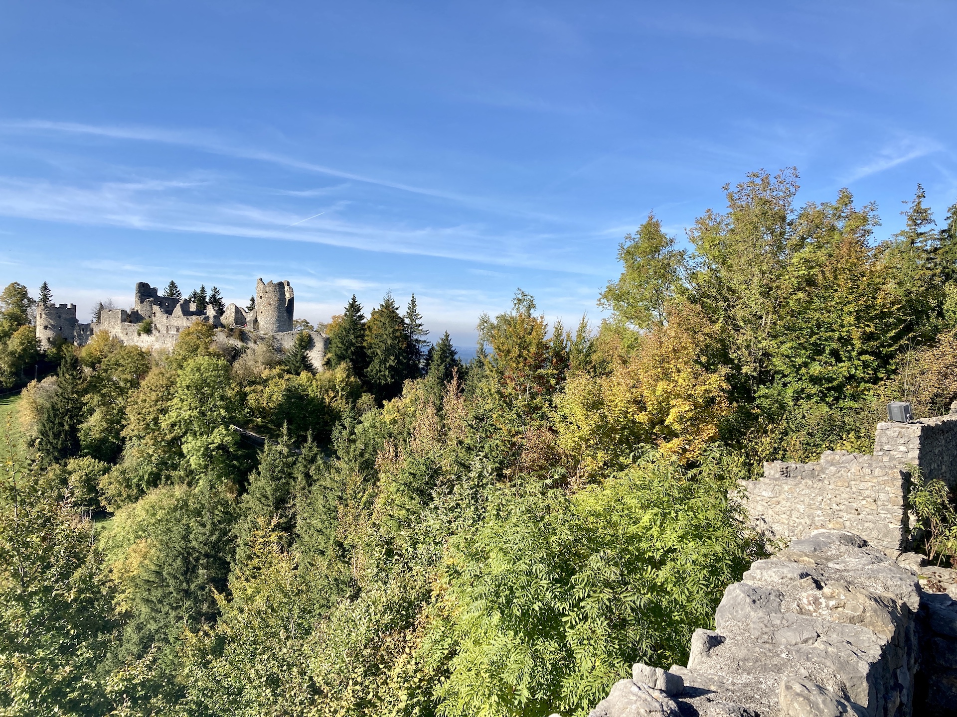 Burg Eisenberg und Hohenfreyberg bei Seeg